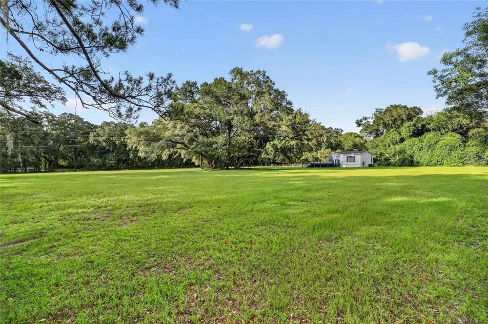 14210 NW HIGHWAY 464B Morriston, FL 32668