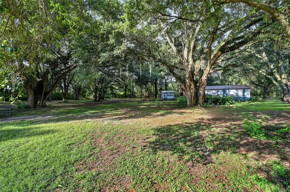 14210 NW HIGHWAY 464B Morriston, FL 32668
