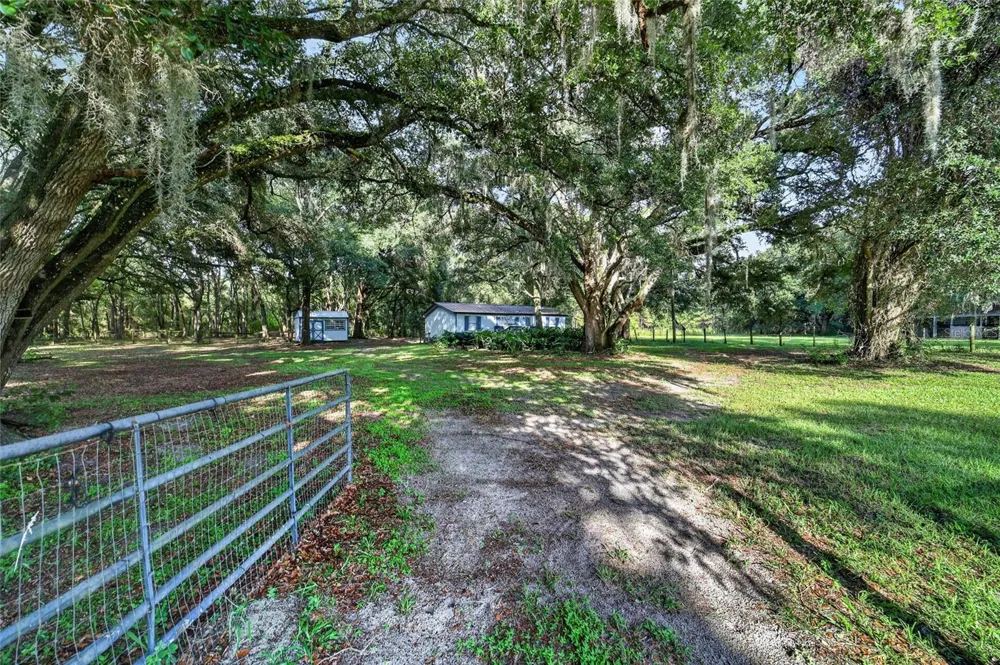 14210 NW HIGHWAY 464B Morriston, FL 32668