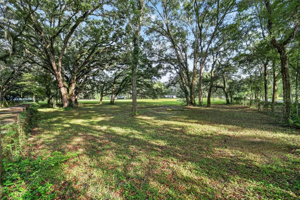 14210 NW HIGHWAY 464B Morriston, FL 32668