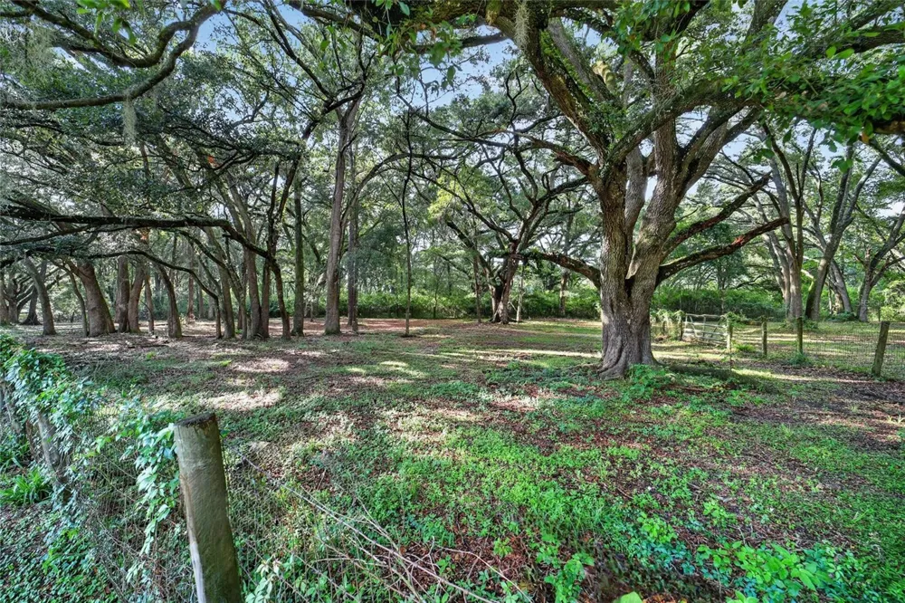 14210 NW HIGHWAY 464B Morriston, FL 32668