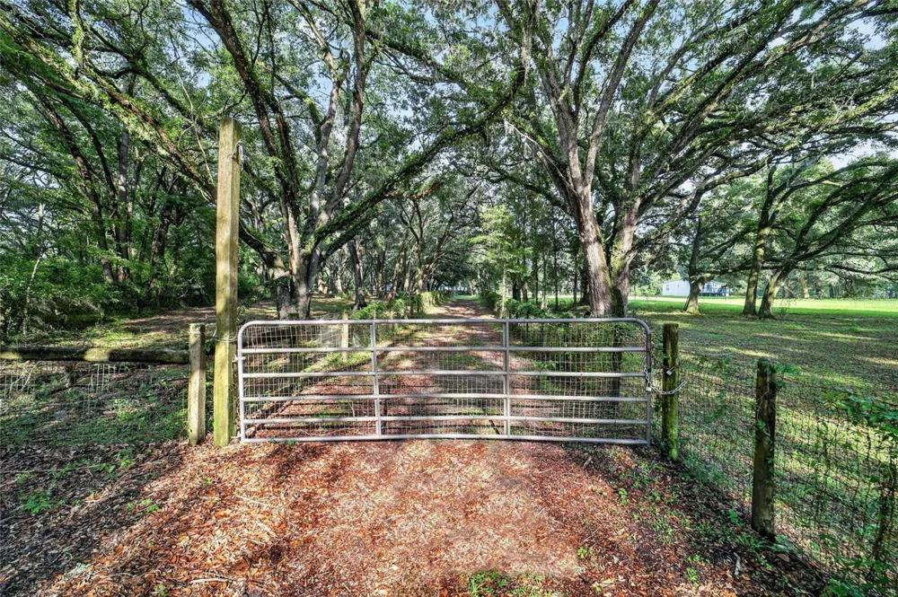 14210 NW HIGHWAY 464B Morriston, FL 32668