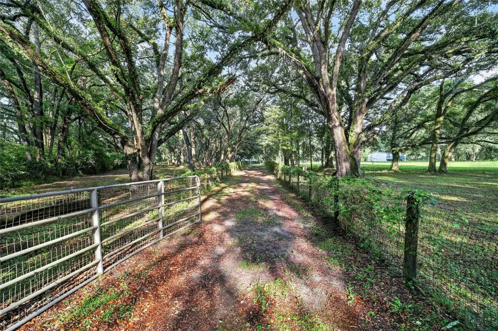 14210 NW HIGHWAY 464B Morriston, FL 32668