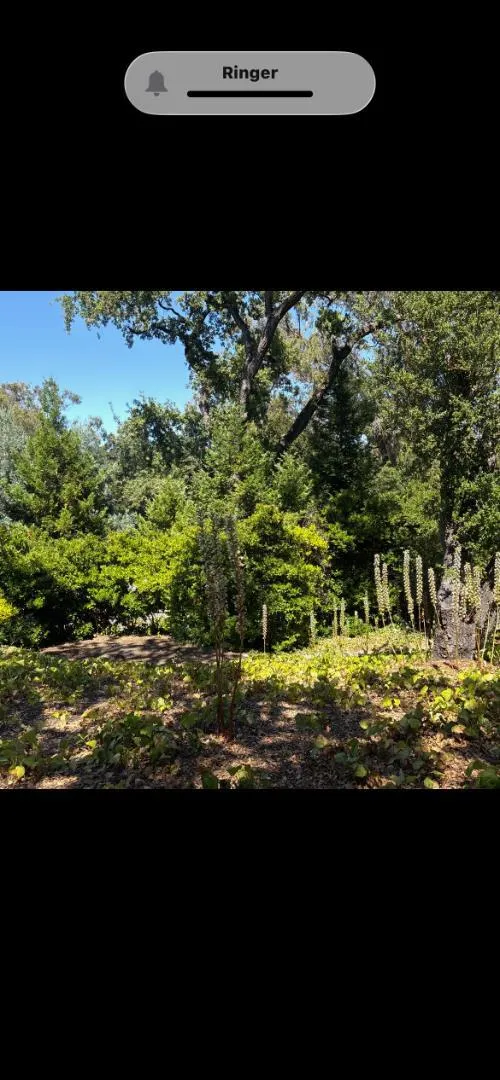 225 Oak Meadow Drive Los Gatos, CA 95032