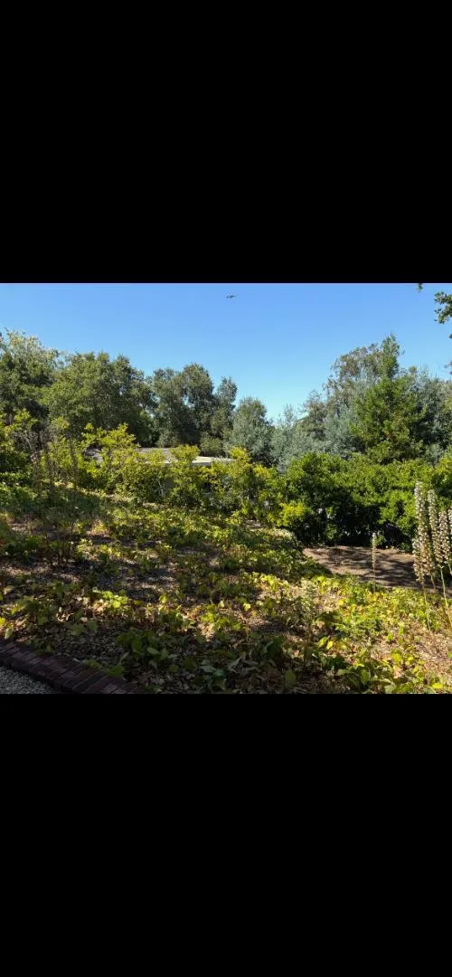 225 Oak Meadow Drive Los Gatos, CA 95032