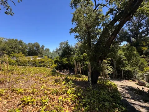 225 Oak Meadow Drive