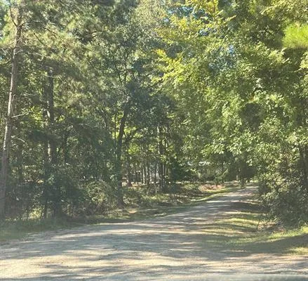 Nueces Drive