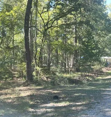 Nueces Drive Trinity, TX 75862