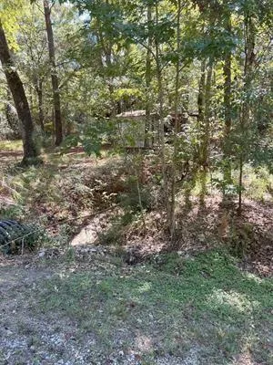 Nueces Drive Trinity, TX 75862
