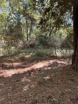 Nueces Drive Trinity, TX 75862