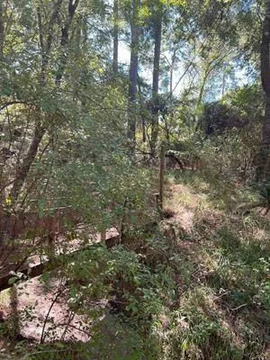 Nueces Drive Trinity, TX 75862