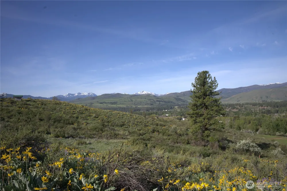 42 Prospect Road Winthrop, WA 98862