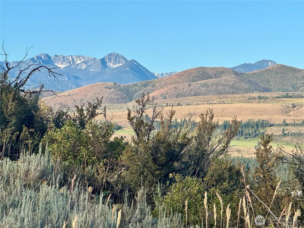 42 Prospect Road Winthrop, WA 98862