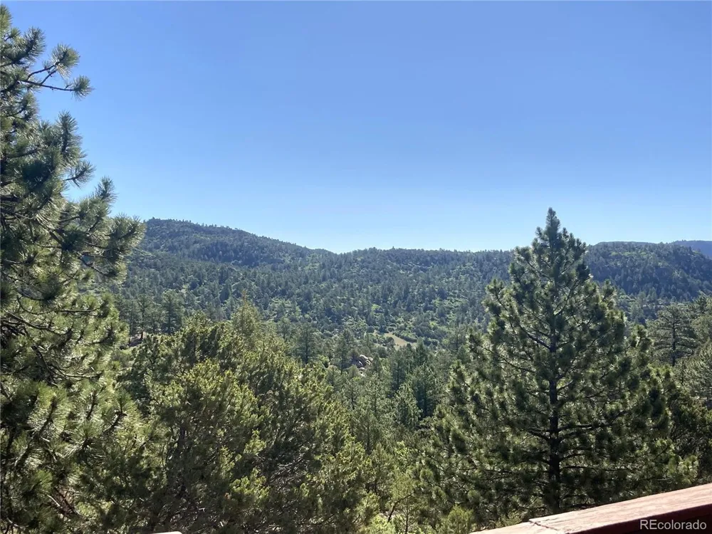136 Burnt Timber Circle Cotopaxi, CO 81223