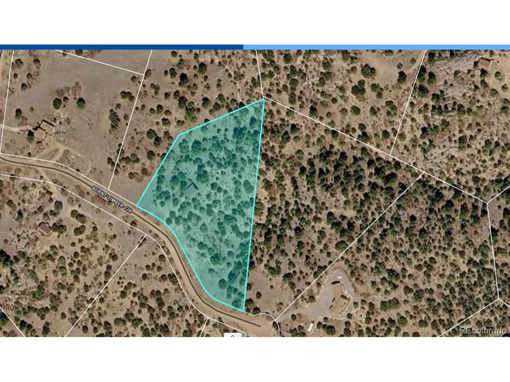 136 Burnt Timber Circle Cotopaxi, CO 81223