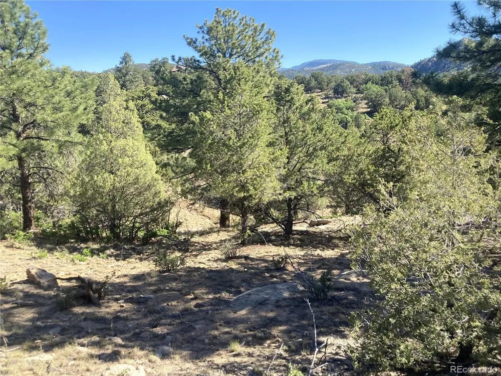 136 Burnt Timber Circle Cotopaxi, CO 81223