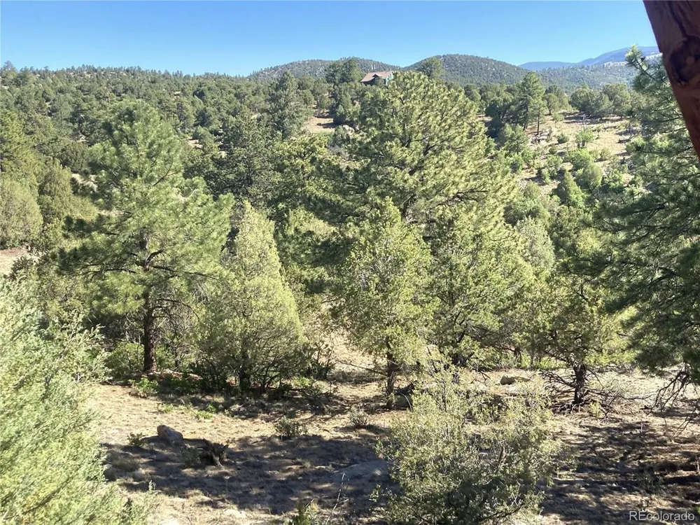 136 Burnt Timber Circle Cotopaxi, CO 81223