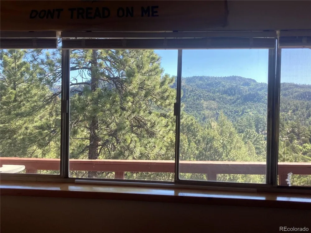 136 Burnt Timber Circle Cotopaxi, CO 81223