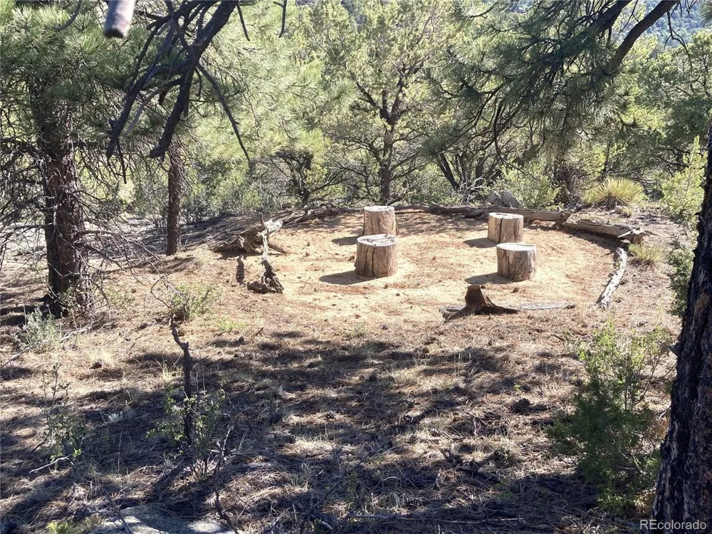 136 Burnt Timber Circle Cotopaxi, CO 81223