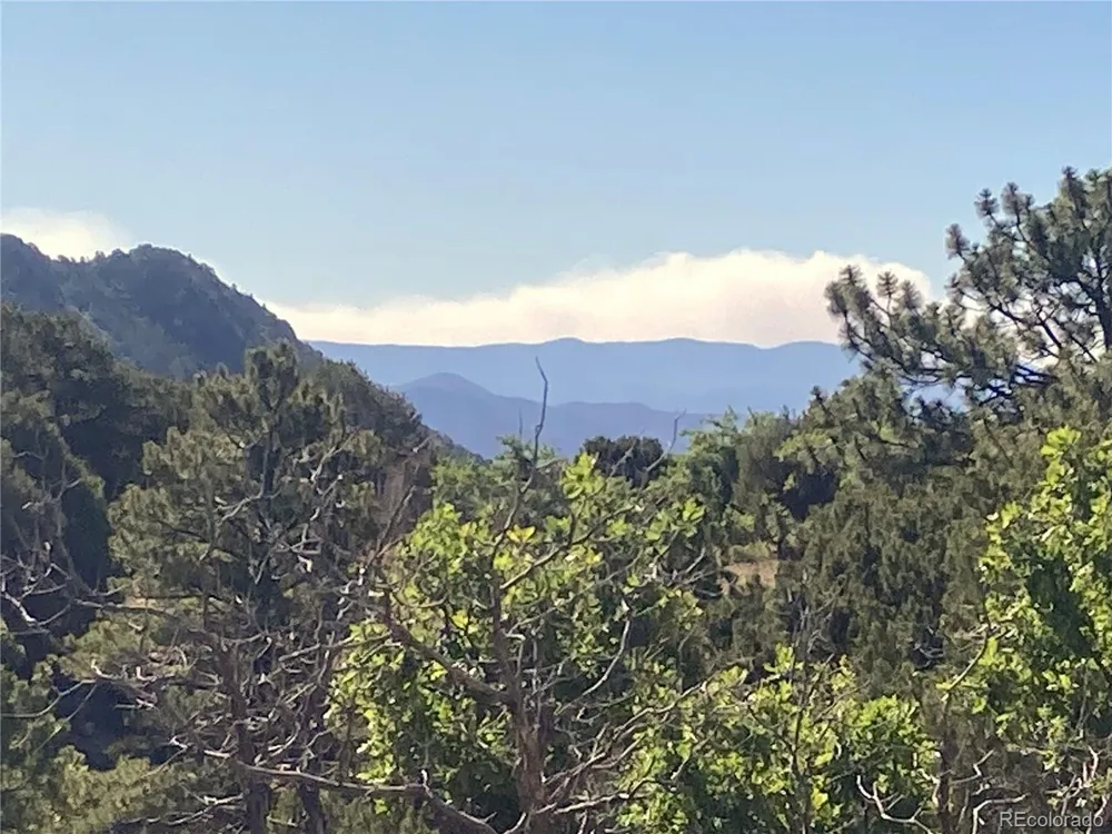 136 Burnt Timber Circle Cotopaxi, CO 81223