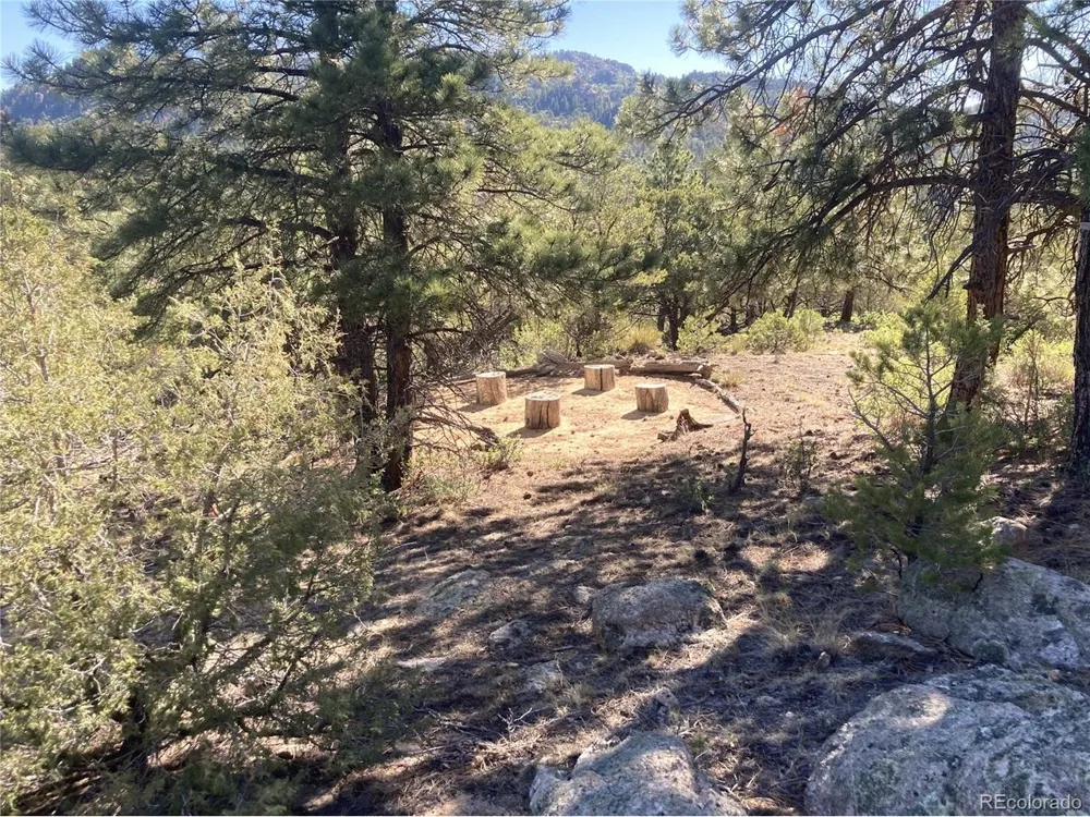 136 Burnt Timber Circle Cotopaxi, CO 81223
