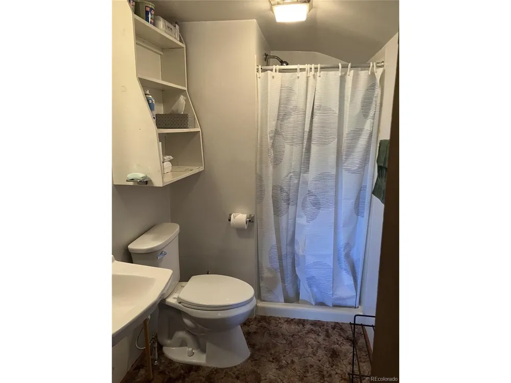 136 Burnt Timber Circle Cotopaxi, CO 81223
