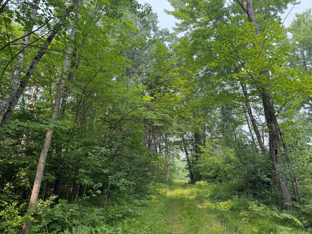 N5813 Mann Road Spooner, WI 54801