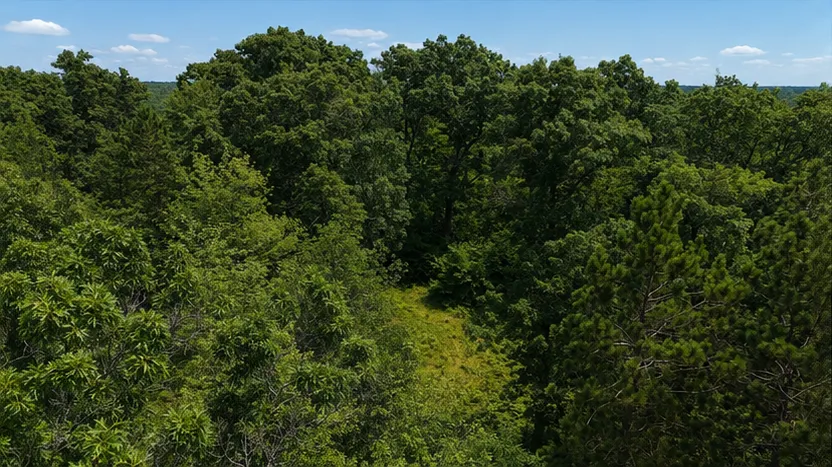 N5813 Mann Road Spooner, WI 54801