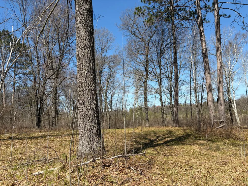 TBD BB Mann Road Spooner, WI 54801