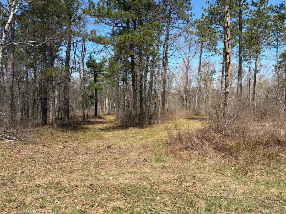 TBD BB Mann Road Spooner, WI 54801
