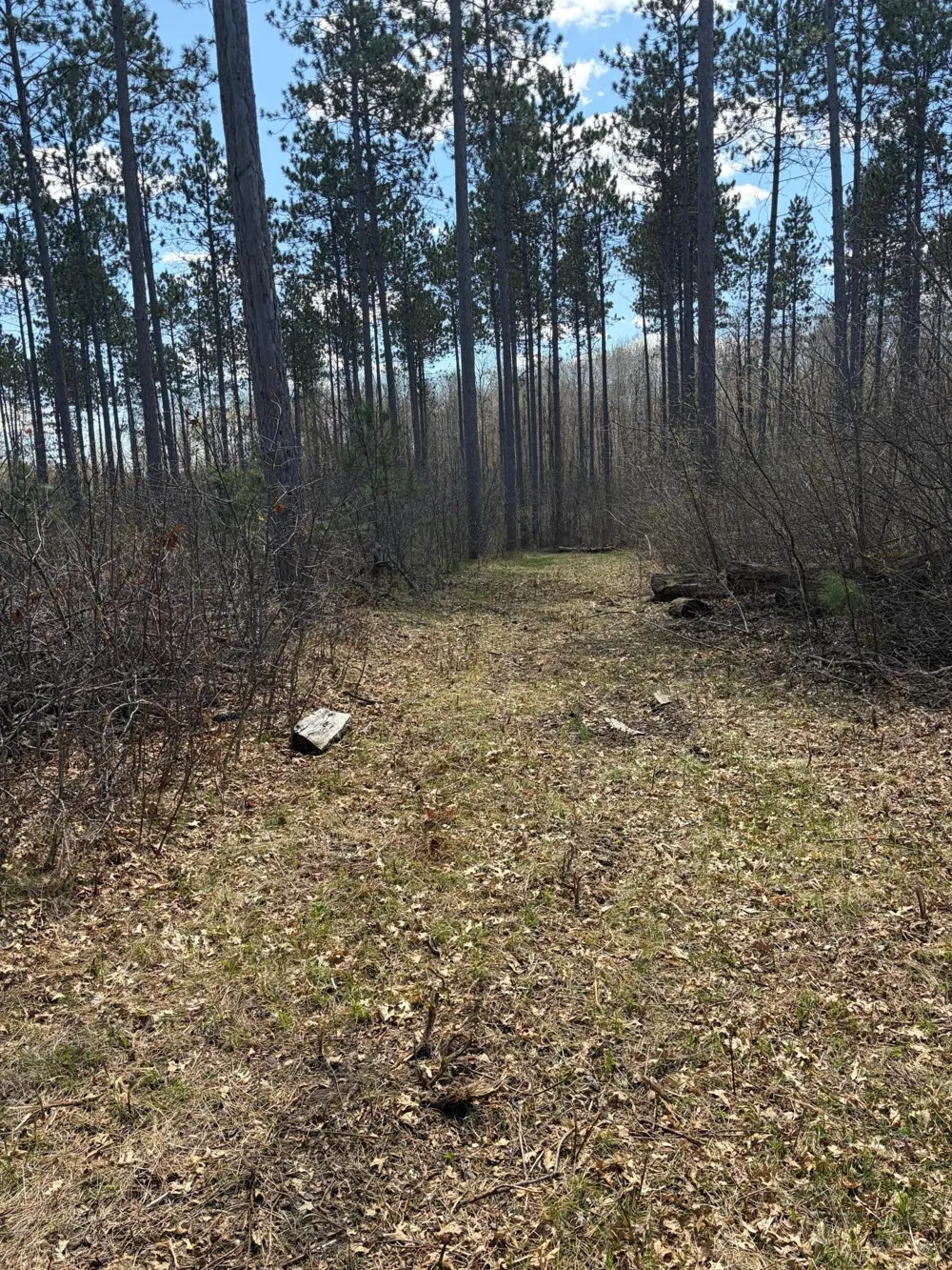 TBD BB Mann Road Spooner, WI 54801