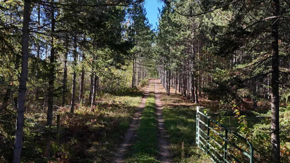 TBD BB Mann Road Spooner, WI 54801
