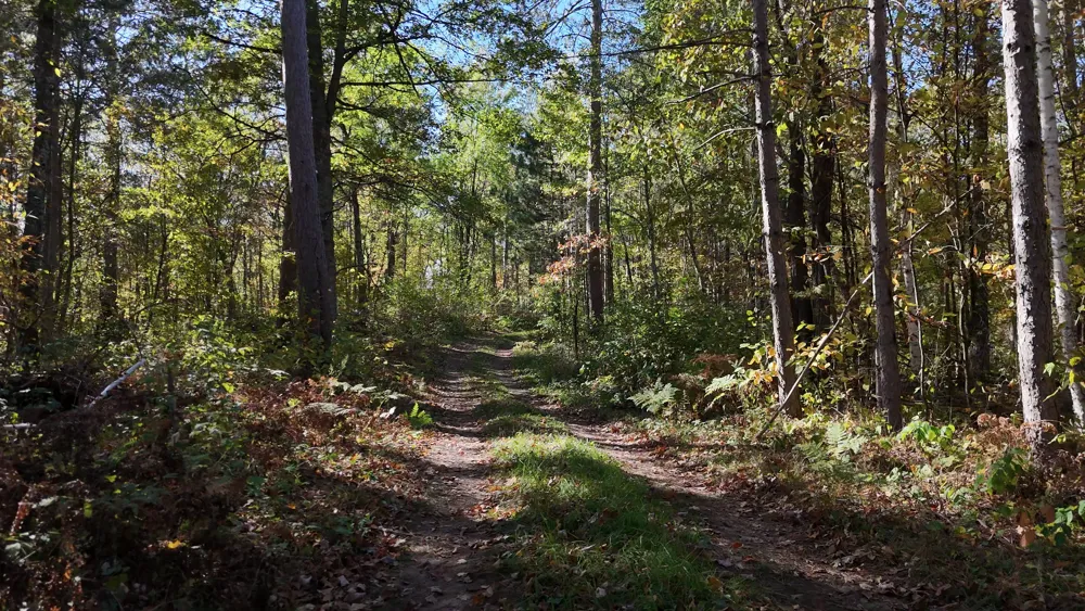 TBD BB Mann Road Spooner, WI 54801