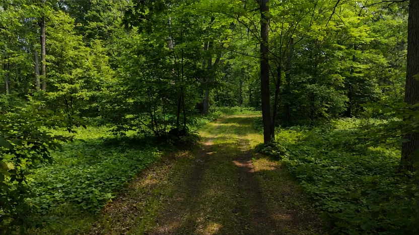 TBD BB Mann Road Spooner, WI 54801