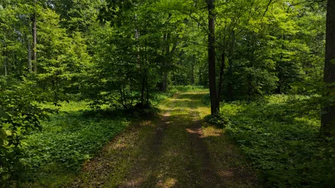 TBD BB Mann Road