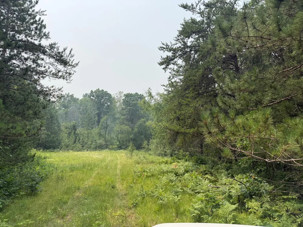 TBD BB Mann Road Spooner, WI 54801