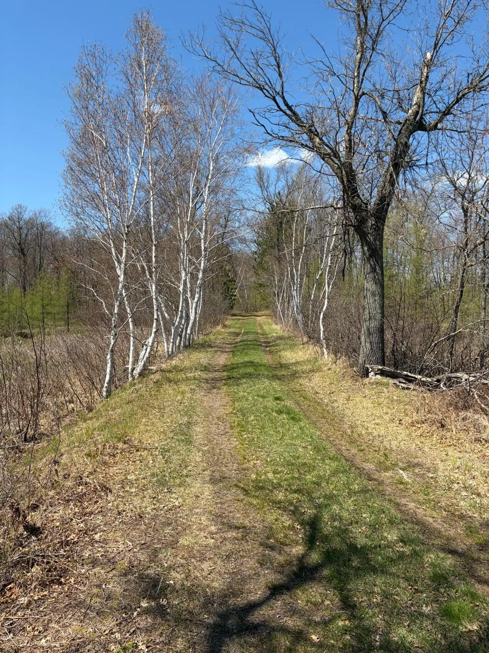 TBD CC Mann Road Spooner, WI 54801