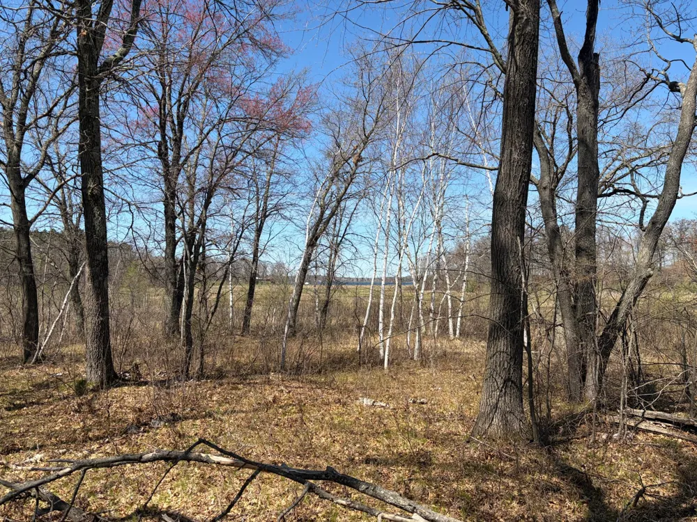 TBD CC Mann Road Spooner, WI 54801