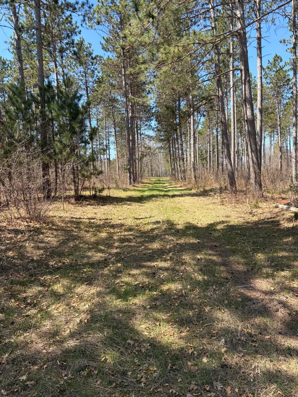 TBD CC Mann Road Spooner, WI 54801