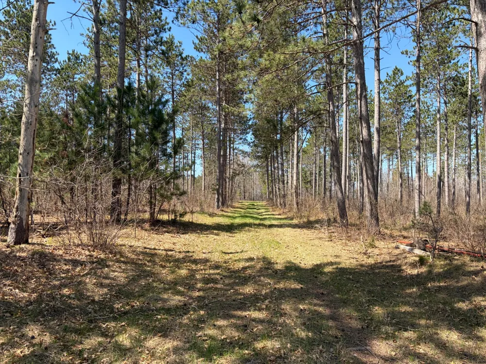 TBD CC Mann Road Spooner, WI 54801