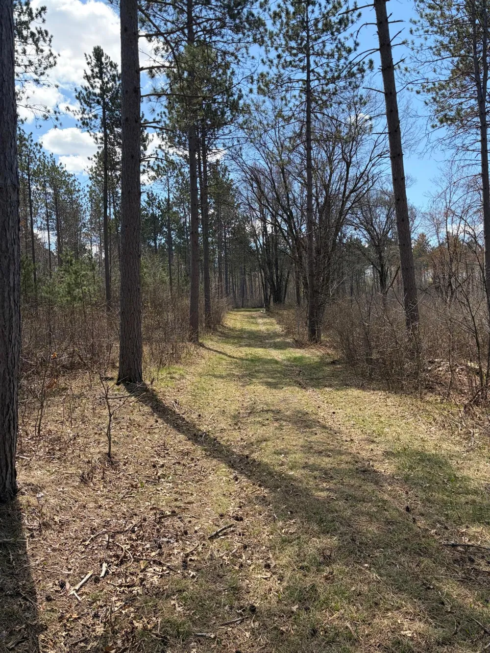 TBD CC Mann Road Spooner, WI 54801