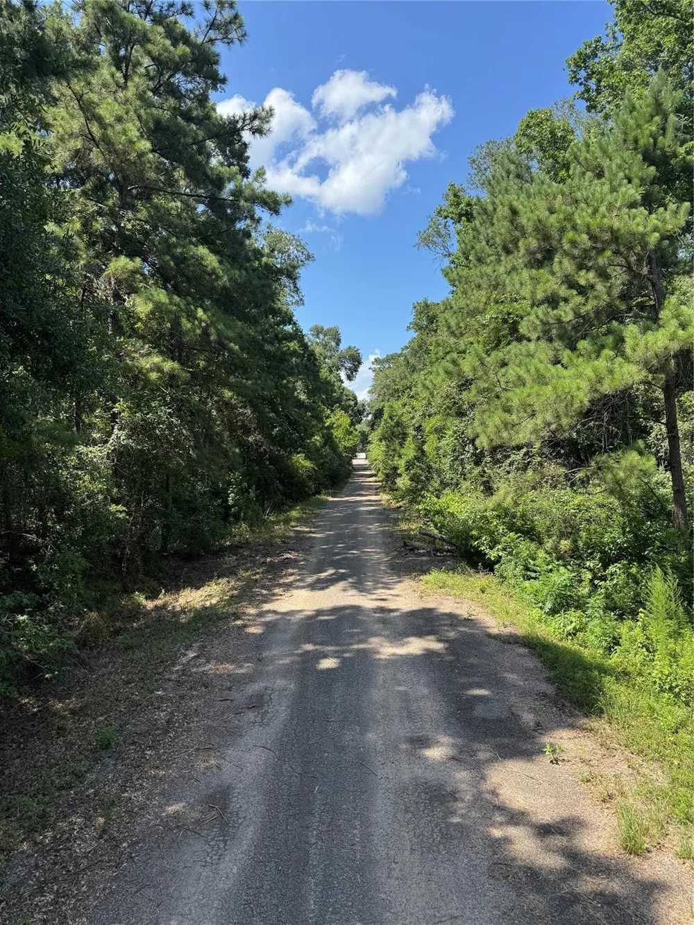 15661 Hickory Lane Splendora, TX 77372