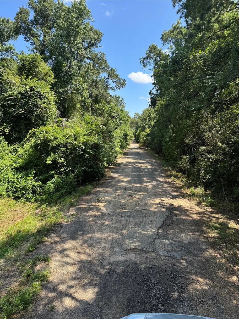 15661 Hickory Lane Splendora, TX 77372