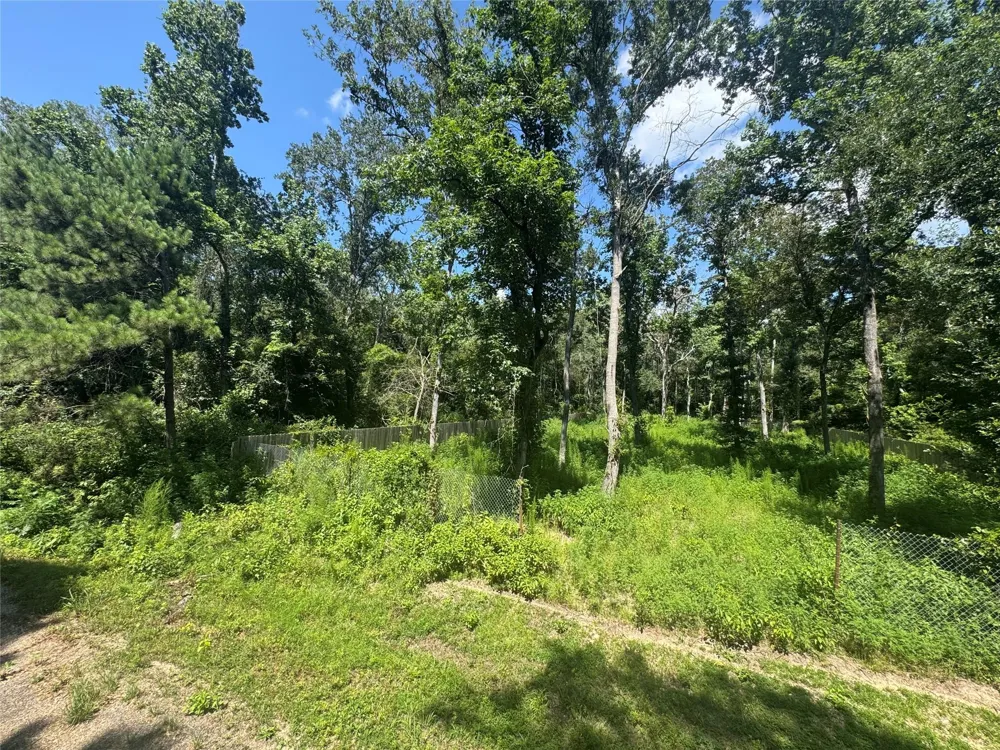 15661 Hickory Lane Splendora, TX 77372