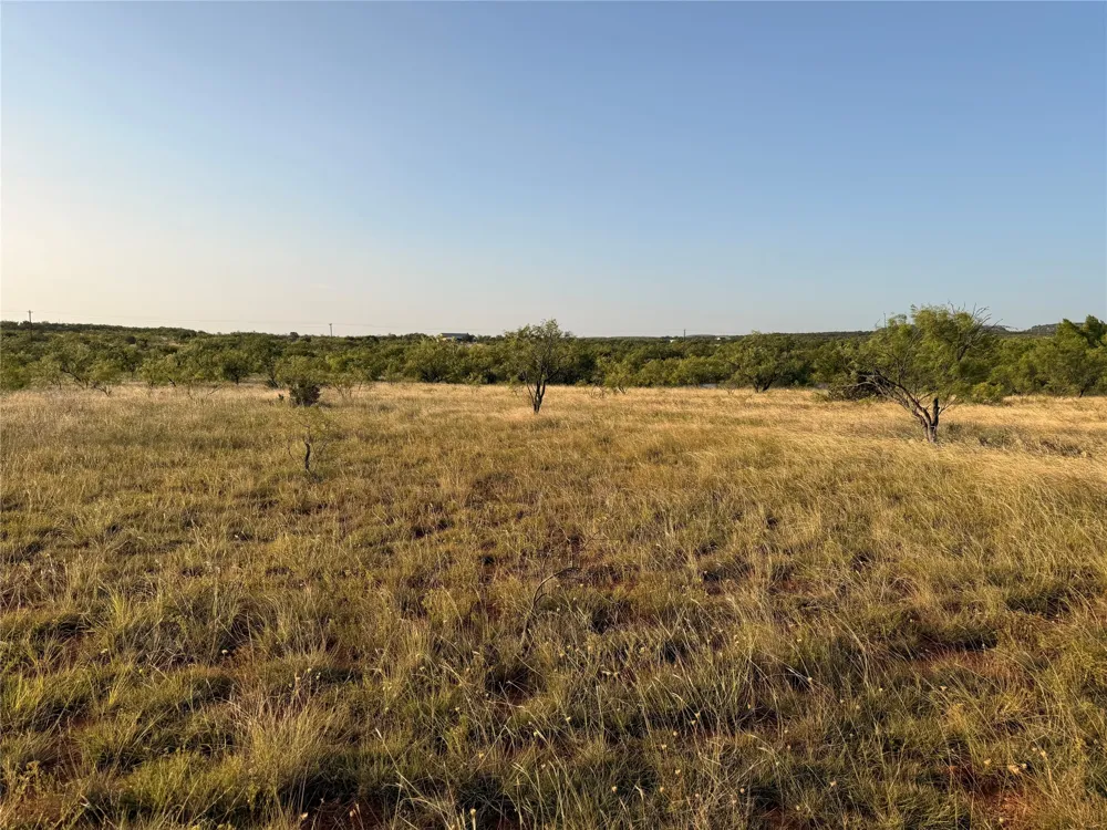 TR 4 FM 604 Ovalo, TX 79541