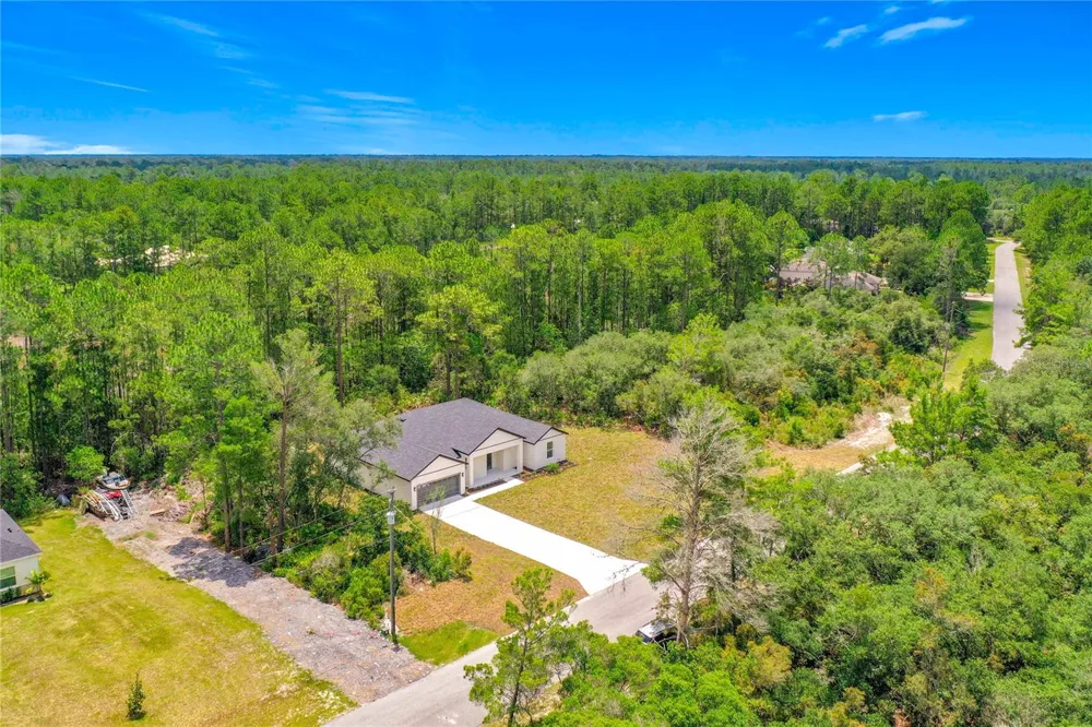 41334 PERSIMMON STREET Eustis, FL 32736