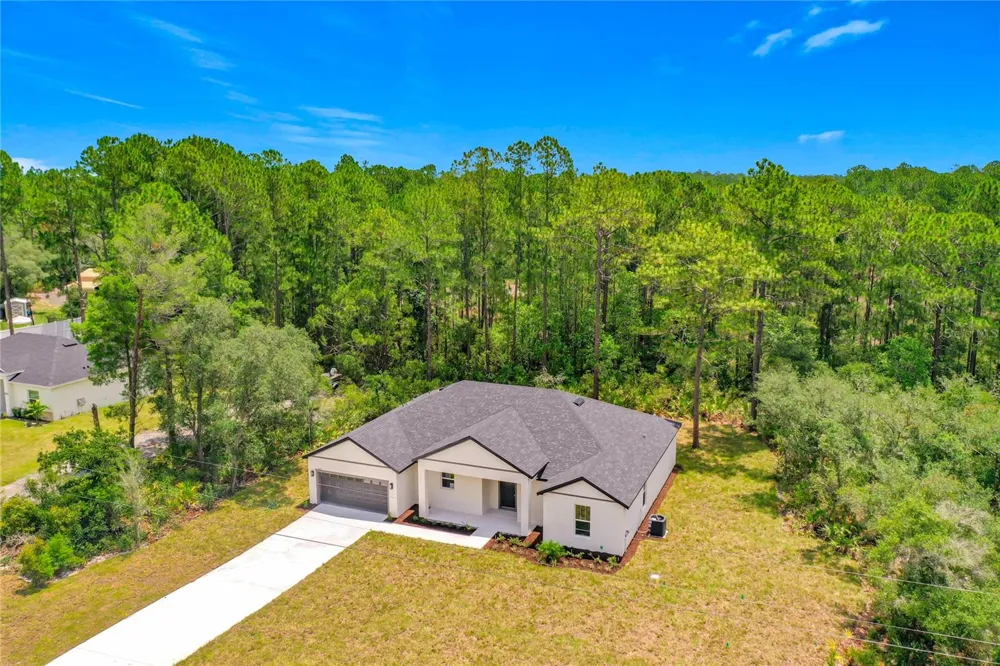 41334 PERSIMMON STREET Eustis, FL 32736