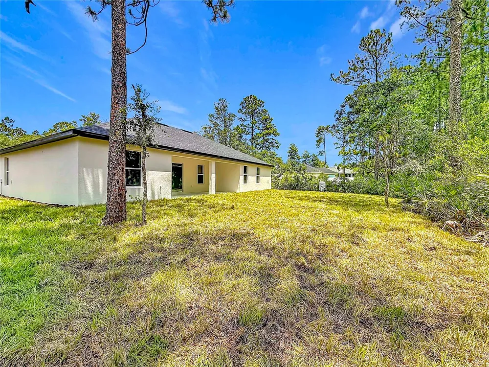 41334 PERSIMMON STREET Eustis, FL 32736