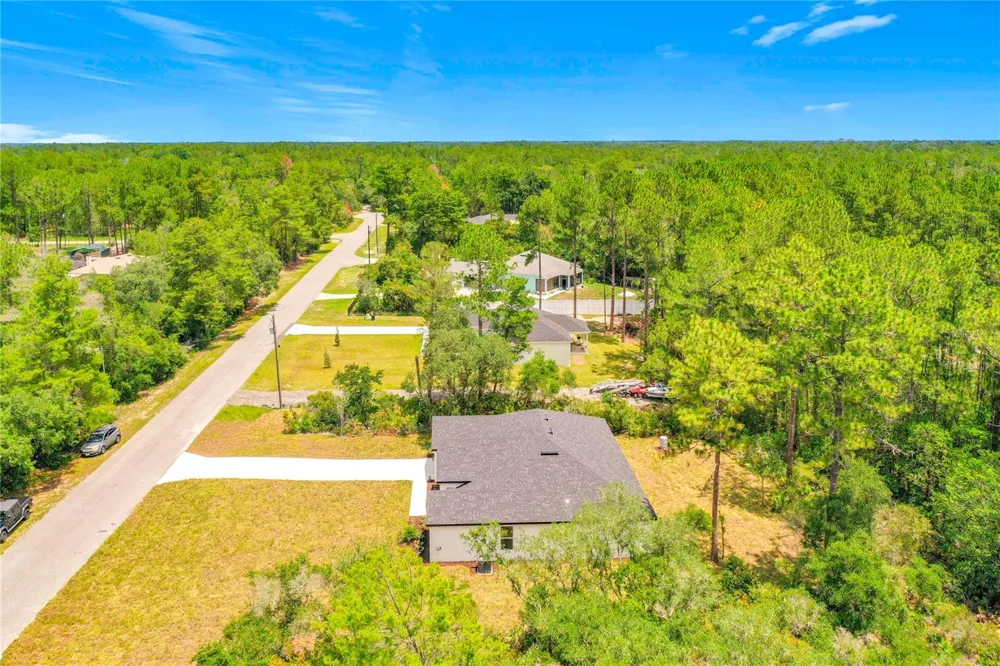 41334 PERSIMMON STREET Eustis, FL 32736