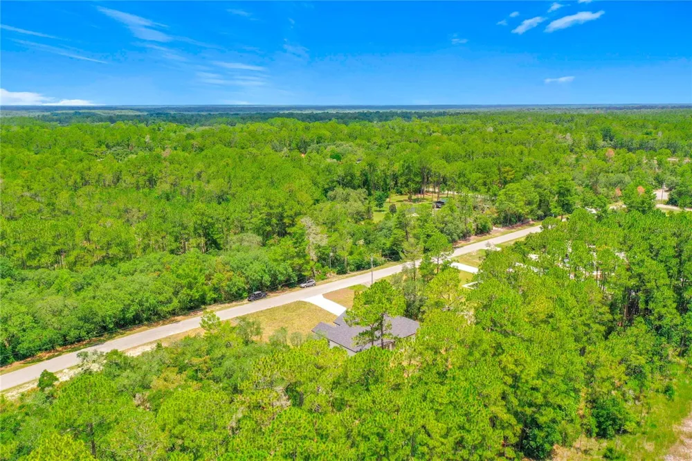 41334 PERSIMMON STREET Eustis, FL 32736